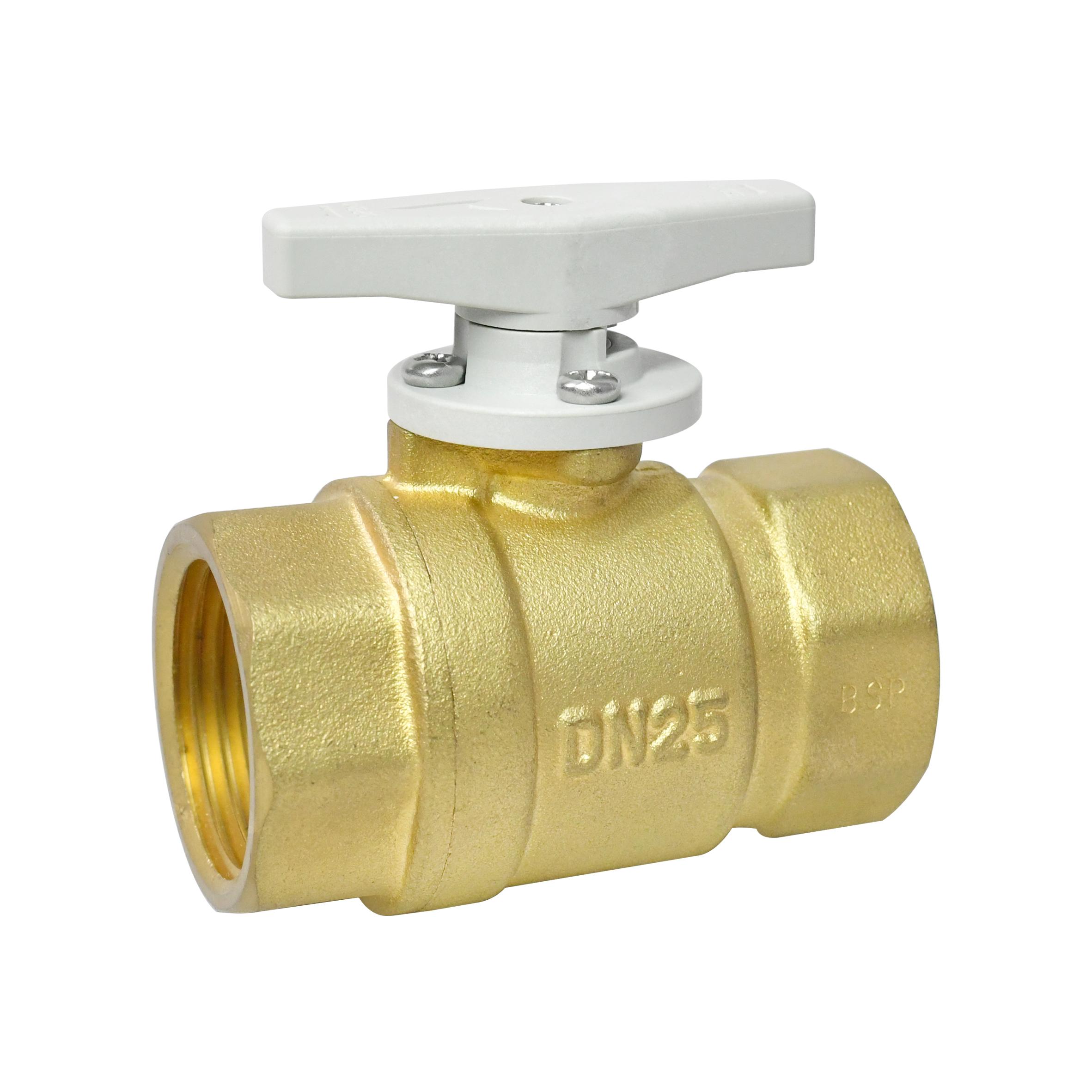 DN25 Manual 2 Way Brass Ball Valve PPO Handle